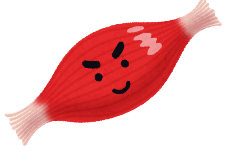 筋膜
