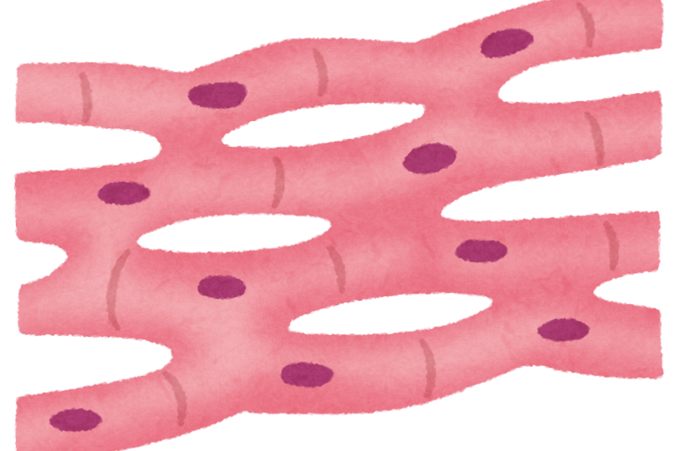body_cell_shinkin